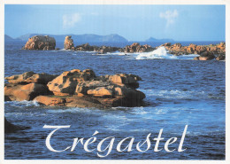 Delcampe - 22 TREGASTEL COTE DE GRANIT ROSE - Trégastel