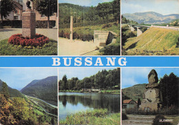 Delcampe - 88 BUSSANG DIVERS LIEUX - Bussang