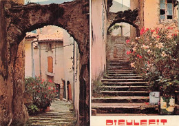 Delcampe - 26 DIEULEFIT VIEILLE VILLE - Dieulefit