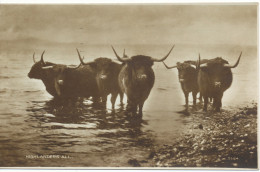 Delcampe - PC18316 Highlanders Ali. Valentine. RP - Welt