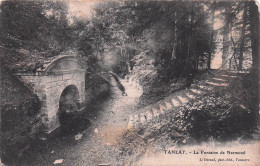Delcampe - 89 TANLAY LA FONTAINE DE NARMOND - Tanlay