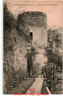 Delcampe - CHATILLON-COLIGNY: La Tour Du Jardin Becquerel - Très Bon état - Chatillon Coligny