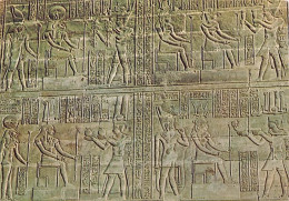 Delcampe - EGYPTE ESNA TEMPLE DE KHNUM - Altri & Non Classificati