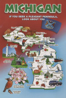 Delcampe - USA State Map Landmarks Flora Fauna Mackinac Bridge Apple Blossom #PBG439 - Lansing