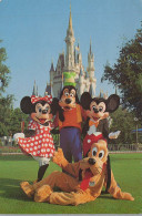 Delcampe - USA Orlando Walt Disney World Castle With Disney Characters #PBG382 - Orlando