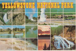 Delcampe - USA Yellowstone National Park Wyoming Iconic Landscapes Geysers #PBG356 - Yellowstone