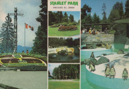 Delcampe - Canada Vancouver BC Stanley Park Totem Poles Polar Bears Penguins #PBG337 - Vancouver