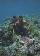 Delcampe - Australia Great Barrier Reef Underwater Men Coral Reef #PBG329 - Great Barrier Reef