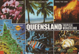 Delcampe - Australia Cooktown Tropical Wonderland Orchid Beach Cane Marine #PBG326 - Brisbane