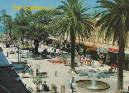 Delcampe - Australia Manly Nsw The Corso Pedestrian Mall Palm Trees #PBG327 - Sydney