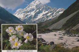 Delcampe - New Zealand Mount Cook Aoraki Mountain River Lily #PBG251 - Neuseeland