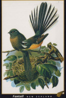 Delcampe - New Zealand Native Fantail Rhipidura Fuliginosa Wildlife Unposted #PBG250 - Neuseeland