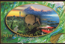 Delcampe - New Zealand Auckland Wellington Rotorua Auckland Mt Cook Kiwi Unposted #PBG244 - Neuseeland