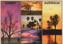 Delcampe - Australia Sydney Nsw Diverse Sunsets Landscapes Trees Beach Water #PBG234 - Sydney