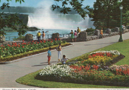 Delcampe - Canada Niagara Falls Horseshoe Falls Landscape With Gardens #PBG219 - Niagarafälle
