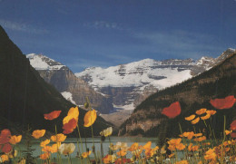 Delcampe - Canada Lake Louise Scenic Landscape With Mountains And Poppies #PBG210 - Lake Louise