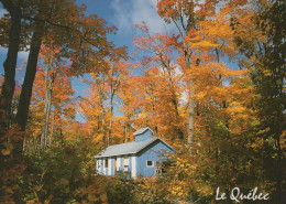 Delcampe - Canada Québec Cabane À Sucre En Forêt Automnale Vibrante #PBG204 - Québec - La Citadelle