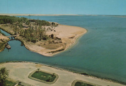 Delcampe - Egypt Ismailiya Crocodile Lake Panoramic View Unposted #PBG180 - Ismailia