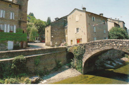Delcampe - ST ANDRE DE VALBORGNE - Sonstige & Ohne Zuordnung
