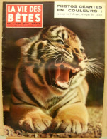 Delcampe - MAG277/  LA VIE DES BETES N° 67/1964, Lamartine Ami Des Bêtes, Aigle Royal, Faune De Suède, Lion, Faucon Crécerelle… - Animaux