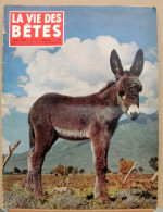 Delcampe - MAG276/  LA VIE DES BETES N° 25/1960, Anes, Castor De France, Médecine Empirique, Pêcheurs Wagenia, Autour Des Palombes… - Animaux
