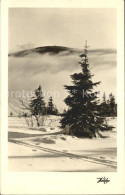 Delcampe - Koethen Anhalt Landschaft Winterpanorama - Köthen (Anhalt)