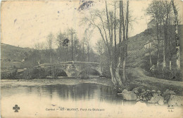 Delcampe - 15 - MURAT - PONT DE STALAPOS - Murat