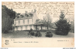 Delcampe - AWBP16-0988-89 - DIXMONT - Chateau De Mademoiselle D'eichtal - Dixmont