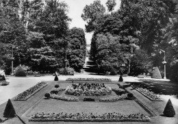 Delcampe - VITTEL La Grande Allée Dans Le Parc 3 (scan Recto Verso)KEVREN0659 - Contrexeville