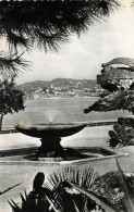 Delcampe - CANNES Le Suquet 35 (scan Recto-verso) KEVREN0654 - Cannes