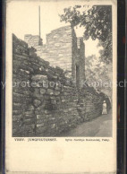 Delcampe - Visby Jungfrutornet Ruine - Schweden