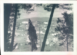 Delcampe - A257 - Cheremule - Sassari - Bozza Fotografica - Sassari
