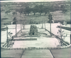 Delcampe - A213-monti? - Sassari -bozza Fotografica - Sassari