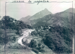 Delcampe - A202 -  Ugliancaldo-massa -bozza Fotografica - Massa