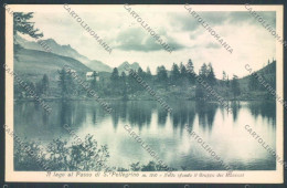 Delcampe - Belluno Lago San Pellegrino Cartolina LQ9582 - Belluno