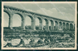 Delcampe - Cuneo Città Viadotto Stura Cartolina MT6908 - Cuneo