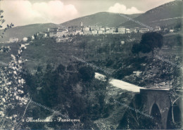 Delcampe - U113 Cartolina Montecchio Panorama Provincia Di Terni - Terni