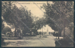 Delcampe - Bari Locorotondo Cartolina ZB6015 - Bari