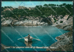 Delcampe - Foggia Isole Tremiti San Domino Foto FG Cartolina ZK6685 - Foggia
