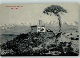 Delcampe - 4600 Olten 1909 - Säli Schlössli - 10625400 - Olten