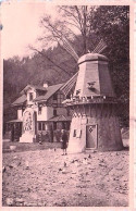 Delcampe - SPA - Les Pigeons Du Parc - Spa
