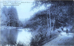 Delcampe - ESNEUX - Fond De Mary - Promenade Ombragée - 1908 - Esneux