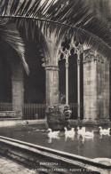 Delcampe - ESPAÑA Barcelona Cataluña Catedral Claustro Fuente Ocas Unposted #SBR666 - Barcelona