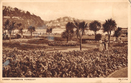 Delcampe - Uk668 Abbey Gardens Torquay Real Photo Uk - Autres & Non Classés