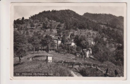 Delcampe - VIU'  TORINO FRAZIONE POLPRESA  VG  1950 - Sonstige & Ohne Zuordnung