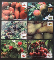 Delcampe - 2007 " LOT DE 6 CARTES MAXIMUM DE BELGIQUE / FRUITS ". Parfait état. CM à Saisir !!! - Fruits