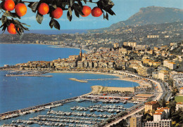 Delcampe - 06 MENTON - Menton