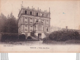 Delcampe - R19-89) TOUCY - VILLA DES PINS  - ANIMEE  - HABITANTS -  ( 2 SCANS ) - Toucy