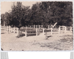 Delcampe - R24-81) CORDES - TARN - COLONIE DE VACANCES DE LA S.N.C.F. LA PISCINE - BAIGNEURS - ( 2 SCANS ) - Cordes