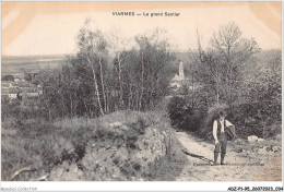 Delcampe - ADZP1-95-0018 - VIARMES - Le Grand Sentier - Viarmes